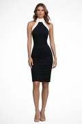 Women’s Halter Neck Sleeveless Sheath Dress